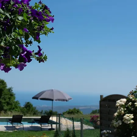 Le Mas De La Source Frühstückspension Tourrettes-sur-Loup